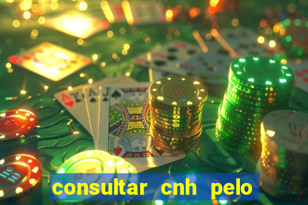 consultar cnh pelo cpf sp